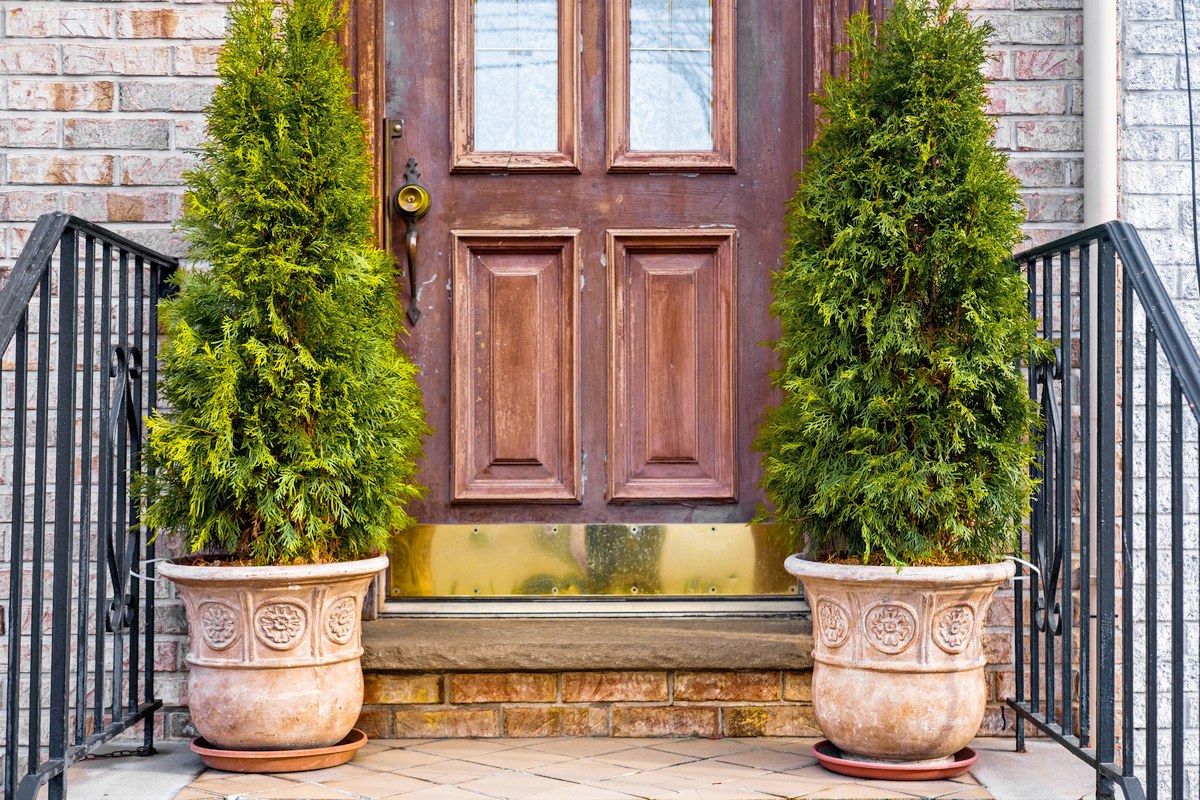 Matching carved terracotta urns with arborvitae flank a wood front door on brick steps between black iron rails.