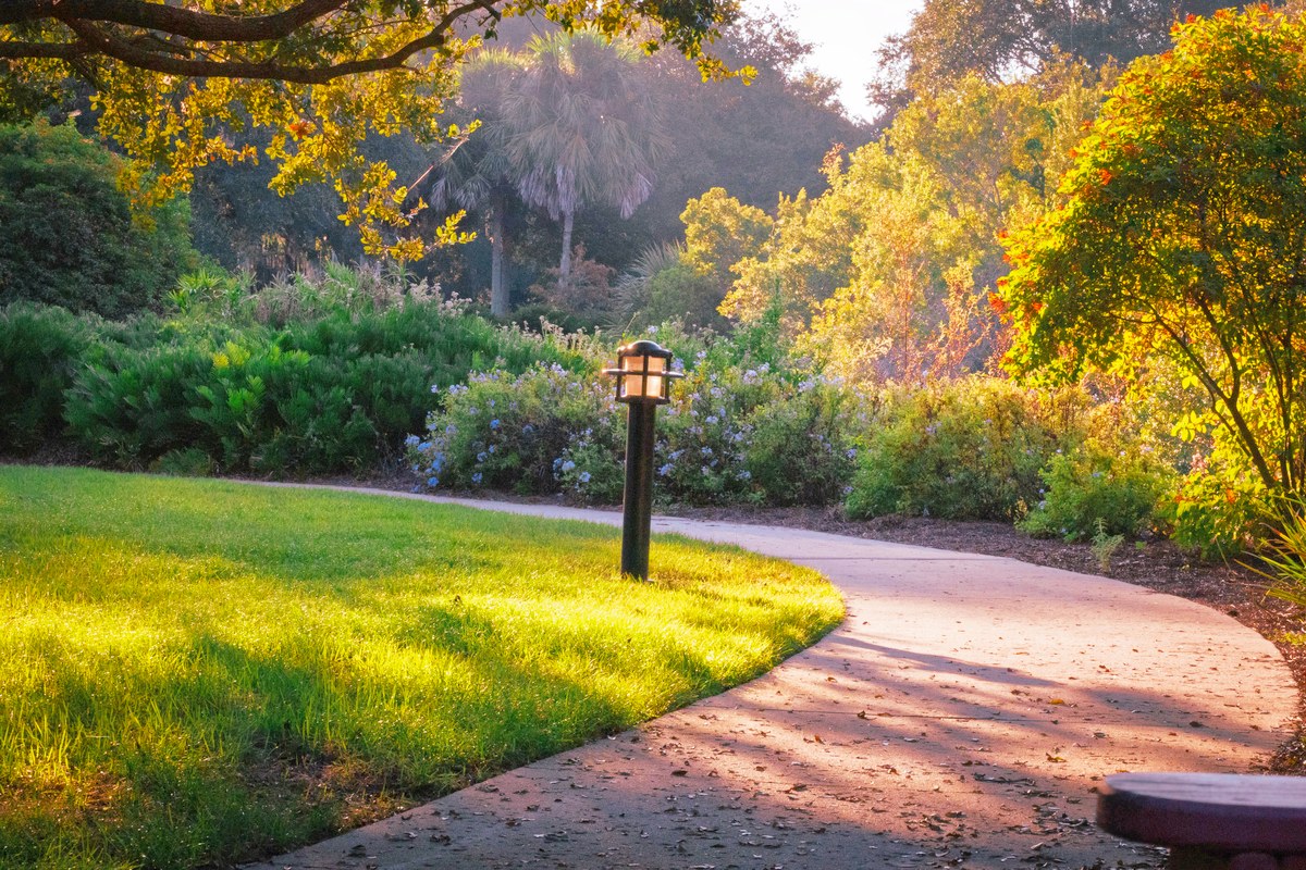 A curving garden path between a sunlit lawn and planted beds, with a lamp post at the edge.