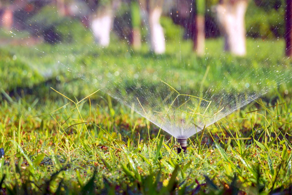 A pop-up sprinkler spraying a fan of water low across green grass, with tree trunks blurred in the background.