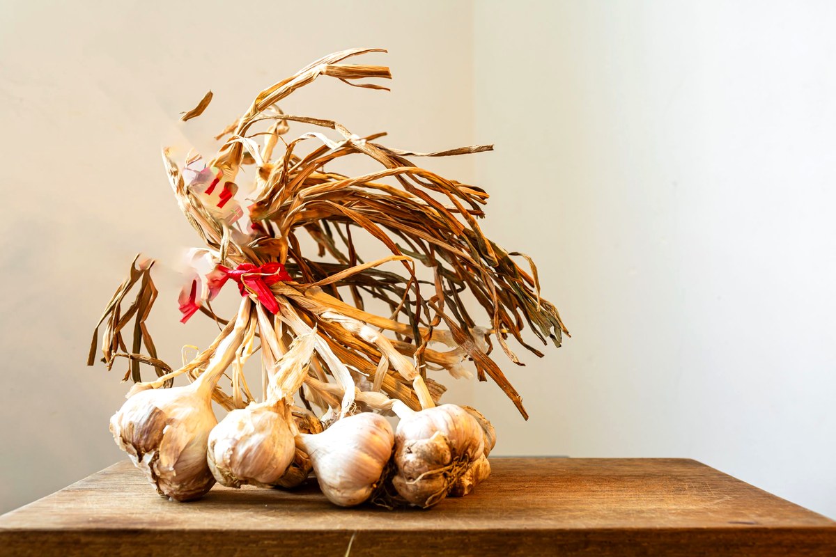 Bundle of cured garlic bulbs tied with red string, lying on a wooden table against a pale wall.