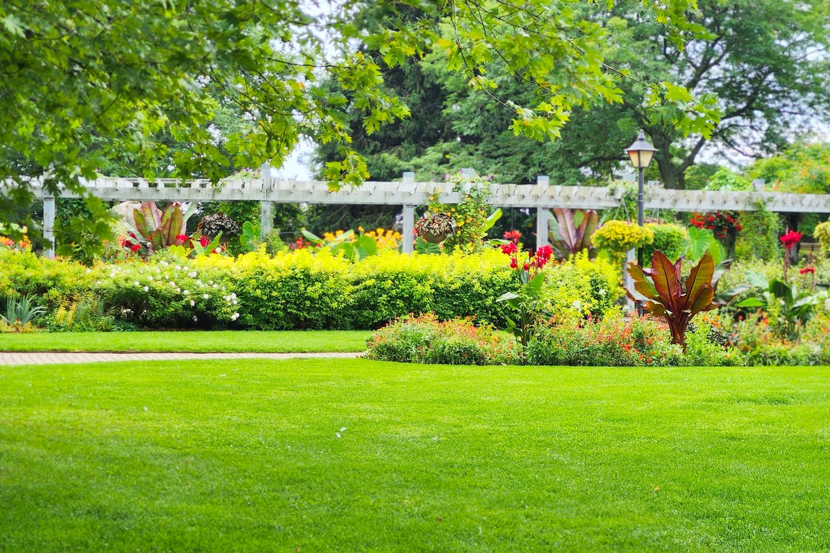 A broad mown lawn in front of layered flower and shrub beds below a white pergola, with a lamp post at the right.