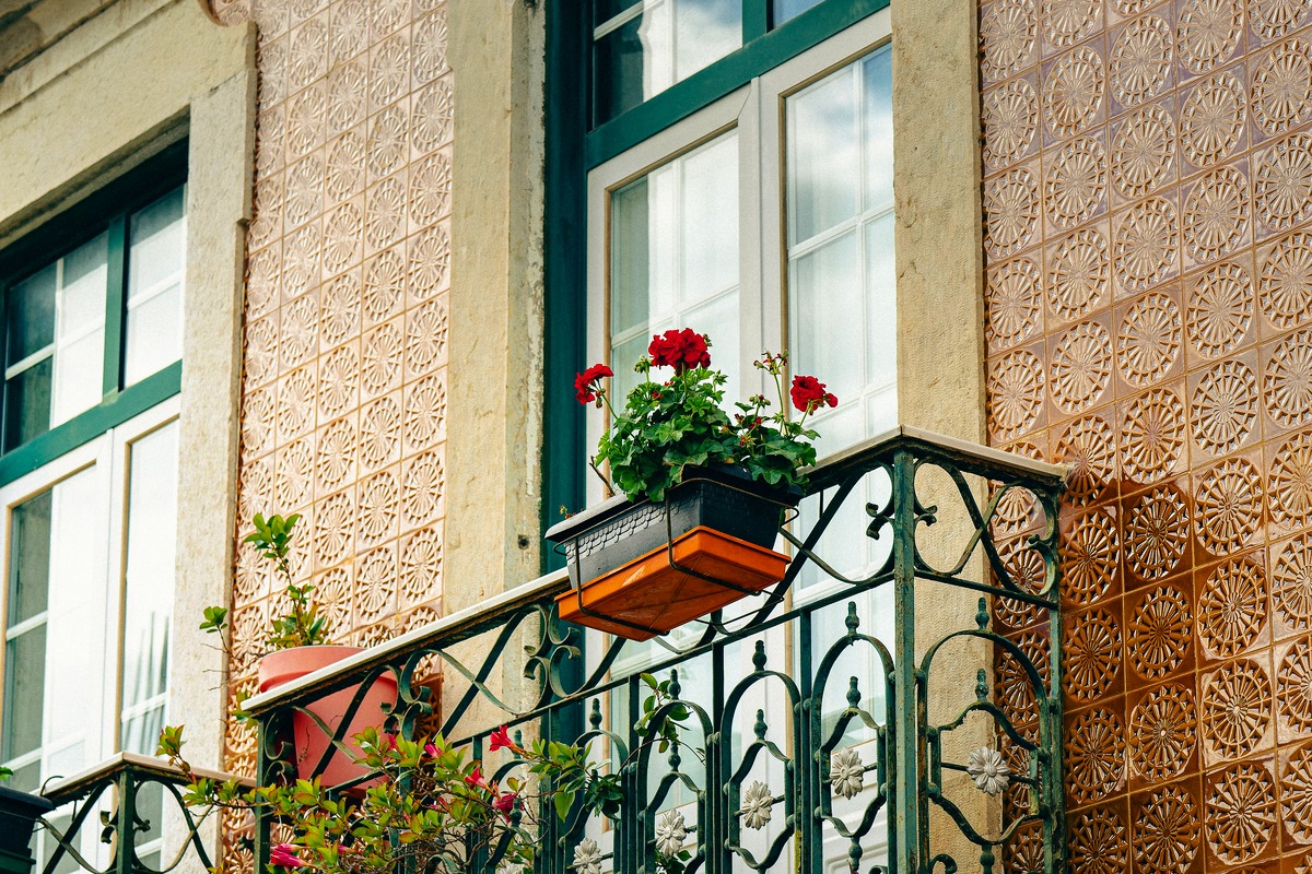 Red geraniums in a planter on a wrought-iron apartment balcony.