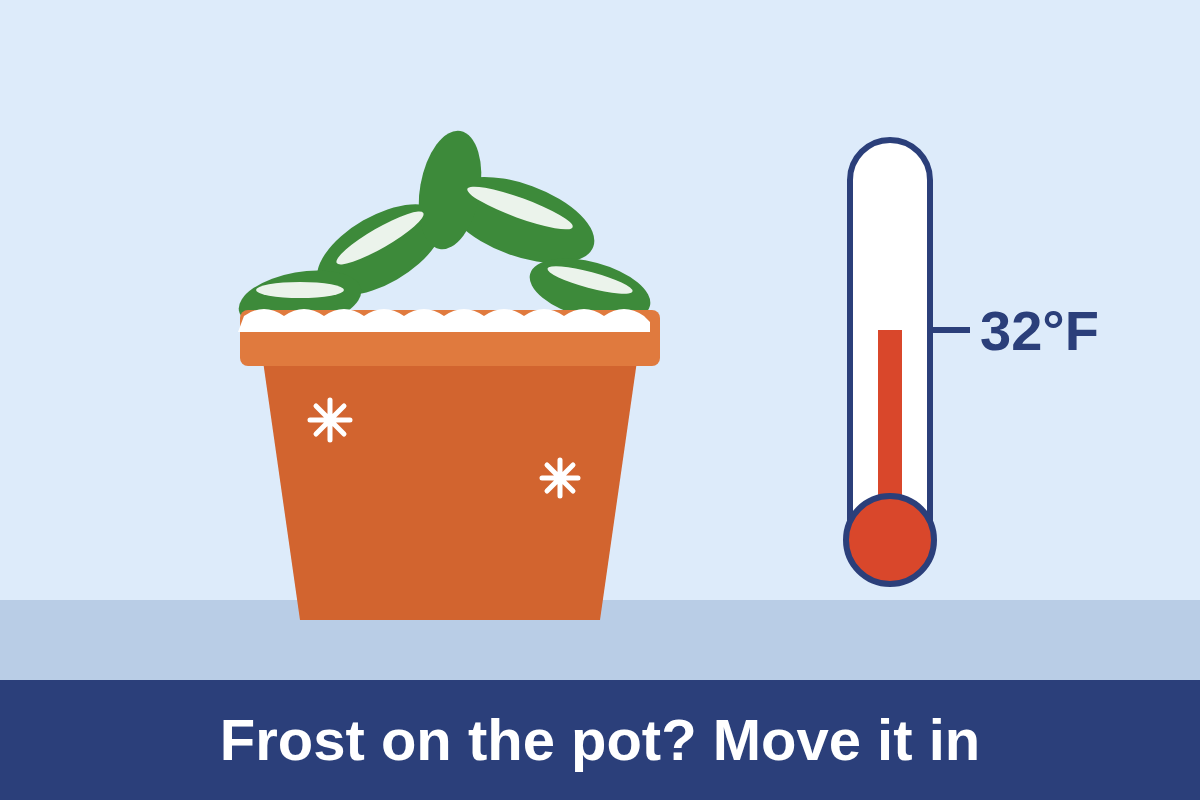 Terracotta pot with frost on its rim and leaves beside a thermometer at 32°F.
