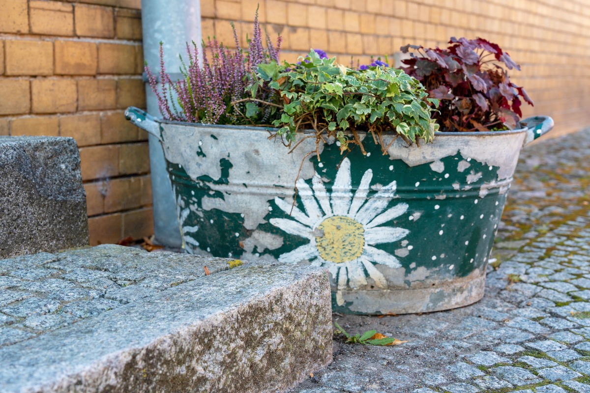 Heuchera and ivy in a painted metal tub beside stone steps.