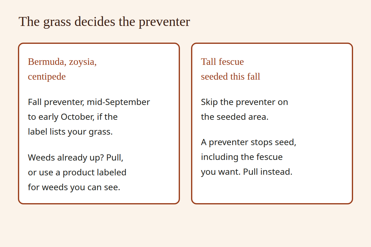 Bermuda, zoysia, and centipede can take a fall preventer from mid-September to early October if the label lists that grass. Tall fescue seeded this fall skips the preventer. Pull weeds in the seeded area.
